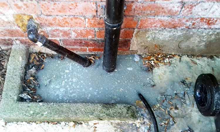 Common Causes of Blocked Drains